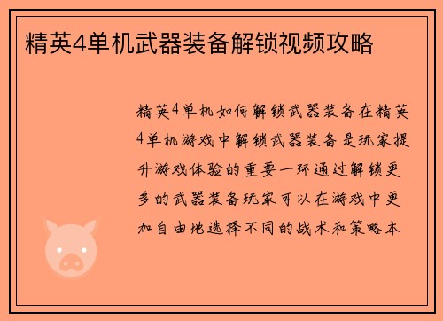 精英4单机武器装备解锁视频攻略